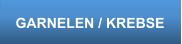 GARNELEN / KREBSE