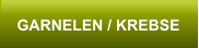 GARNELEN / KREBSE