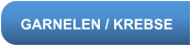 GARNELEN / KREBSE