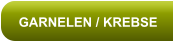 GARNELEN / KREBSE